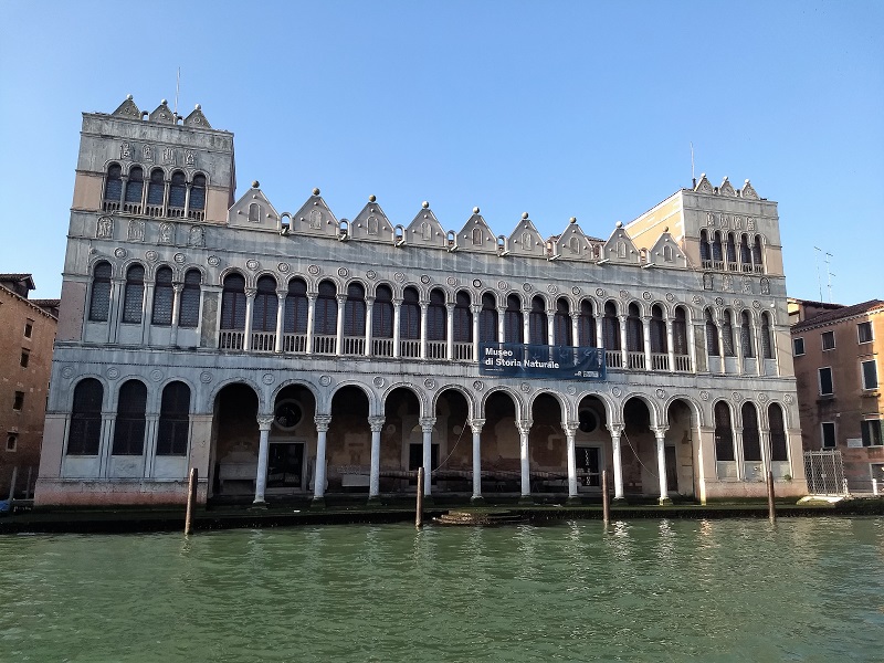 Museo de historia natural de venecia