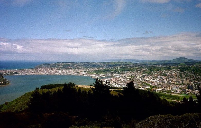 Dunedin-Panorama