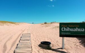 Playa Chihuahua Punta del Este, Uruguay