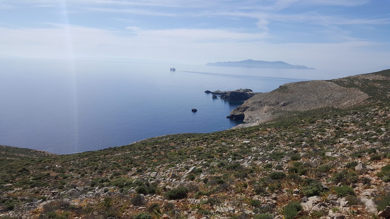 Syros anzuelo