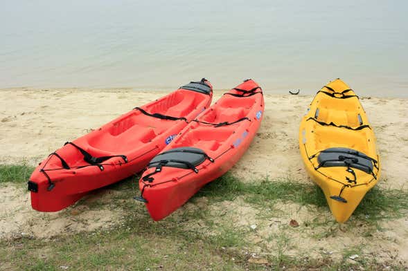 Alquiler de kayak en Tavernier - Reserva online en Civitatis.com