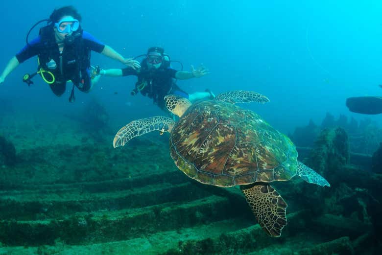 Bautismo de buceo en la Praia do Porto, Fernando de Noronha