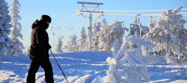 Esquí de fondo en el Parque Nacional Pyhä-Luosto - Civitatis.com