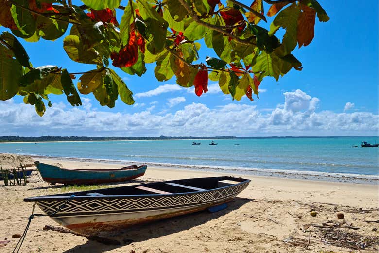 Excursión a Coroa Vermelha y aldea indígena Pataxó Coroa desde ...