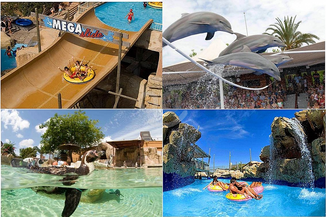 Tour a Parques Acuícos Mallorca: Marineland + Western Park ...