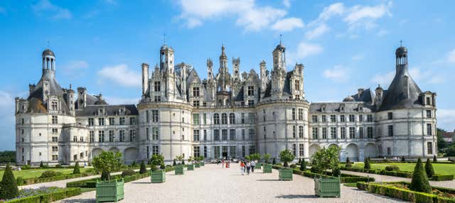 Excursión a Orleans y castillos del Loira desde París