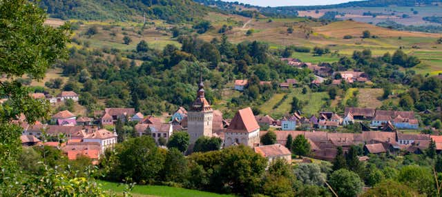 Excursión a Saschiz, Crit y Viscri desde Sighisoara - Civitatis