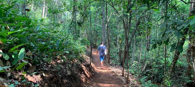 Excursion a Taquarussu desde Palmas - Reserva en Civitatis.com