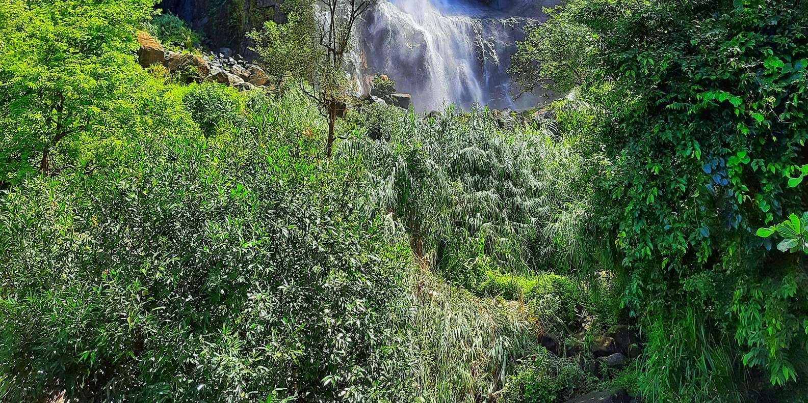 Desde Ella: Cascada de Diyaluma y Baño en Piscina Natural Con Almuerzo