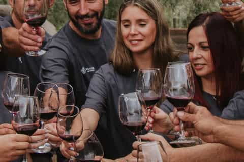 Mendoza Catas de vinos y visitas a bodegas: lo MEJOR de 2025 ...