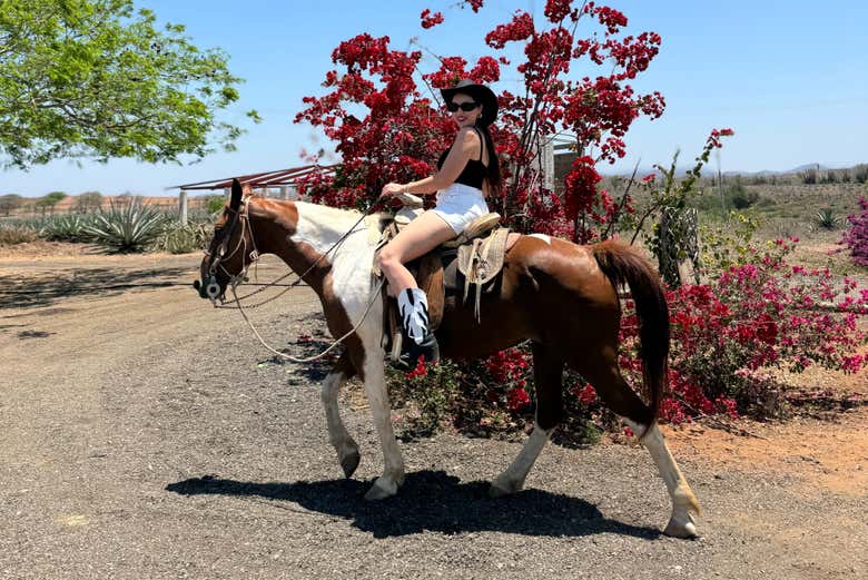 Paseo a caballo por la playa y selva de Mazatlán - Civitatis