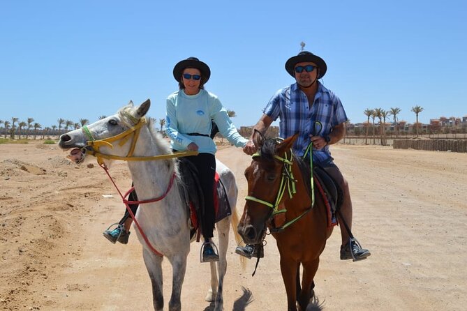 2024) Paseos A Caballo por el Desierto en Sharm El Sheikh