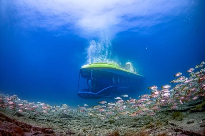 2025) SUBMARINE ADVENTURE - Excursión en Submarino en Puerto de Mogán