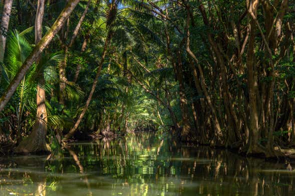 Senderismo por Dublanc + Barco por el río Indio para cruceros ...