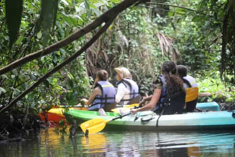 PARQUELO Tortuguero Aventura y Naturaleza: Lo Mejor de 2025 ...