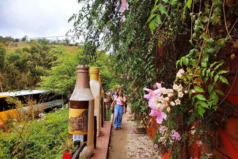 Tour cultural por el Agreste Paraibano desde João Pessoa