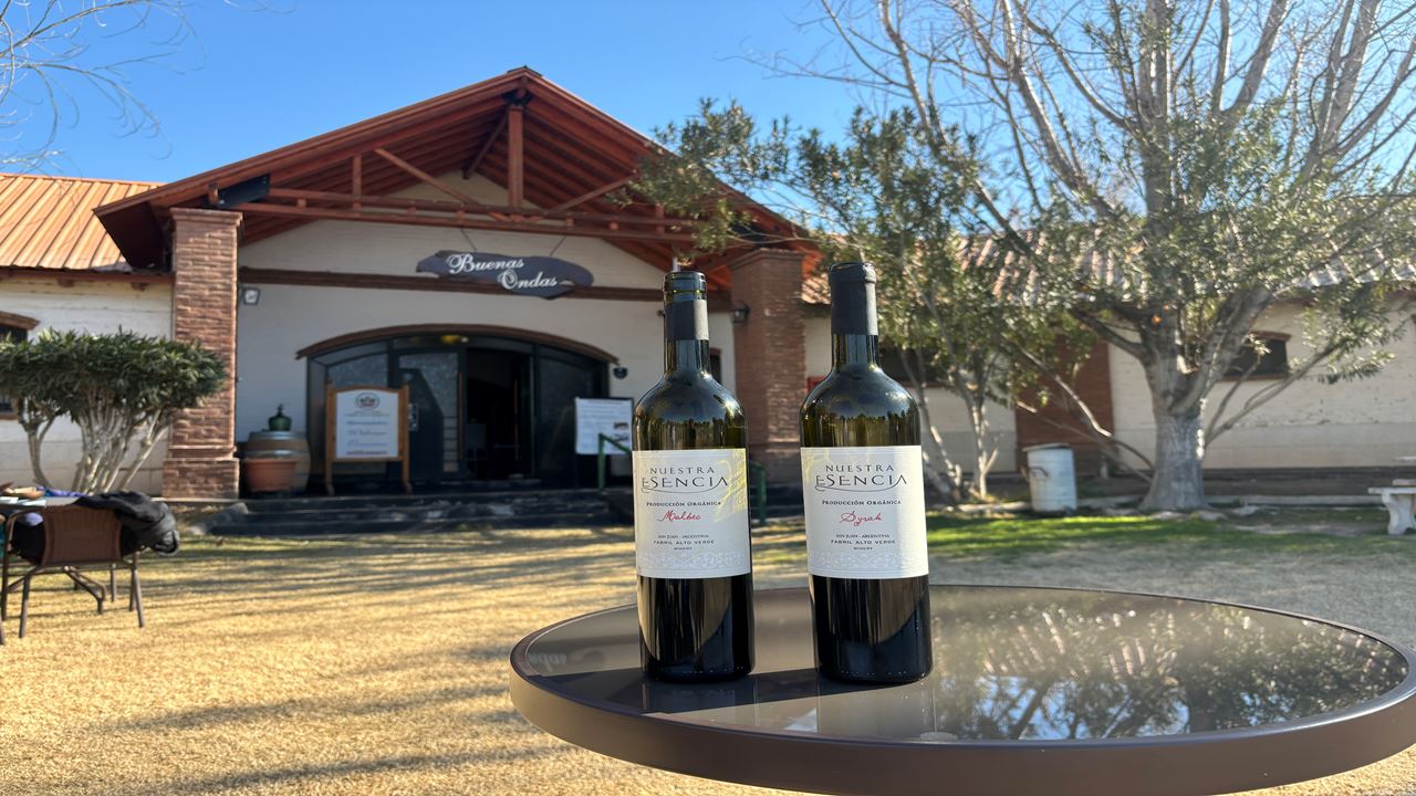 Descubre la Ruta del Vino en San Juan: ¡Reserva tu tour de Viñedos ...