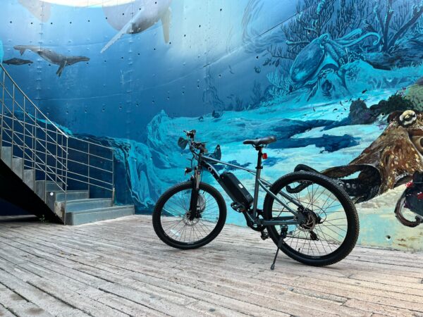 Aventura en bicicleta eléctrica por Cartagena en 2 horas! | The ...