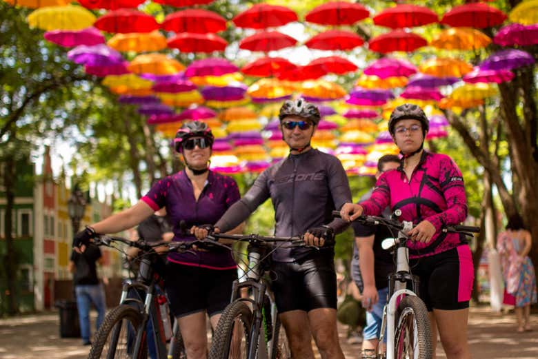 Tour en Bicicleta por Holambra, Holambra - Civitatis.com