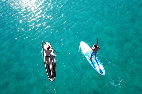Tour en kayak o paddle surf por Tavernier - Civitatis.com