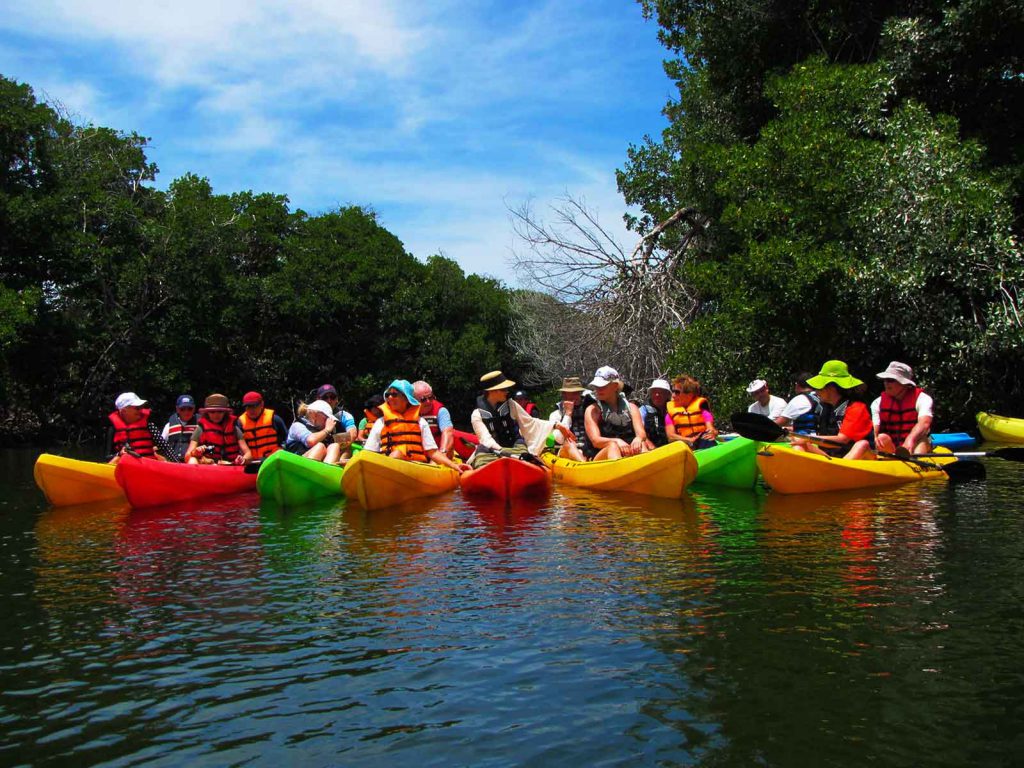 Kayak en La Restinga – Hovertours Venezuela