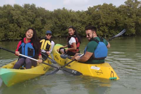 Bosque de Manglares de Al Thakira, Al Khor Accesible Con Silla de ...