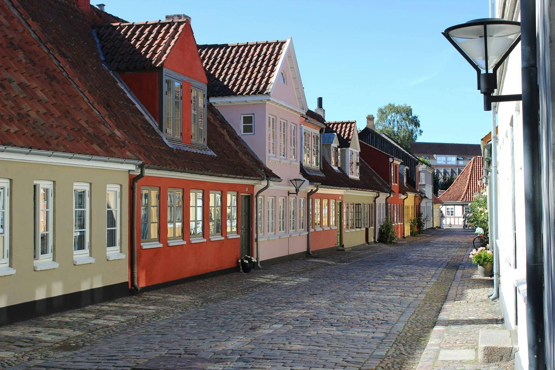 Tour privado a pie por Odense – Tripdo