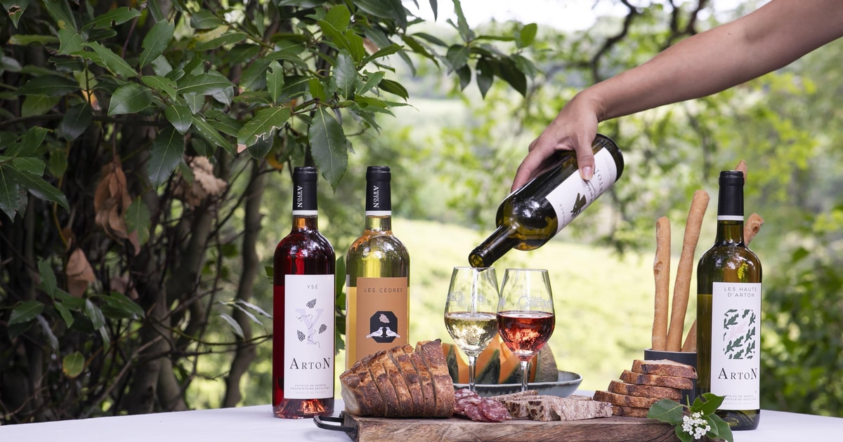 Lectore: Vineyard Tour & degustación en Château Arton |