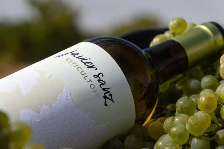 Visita a la bodega Javier Sanz, La Seca - Civitatis.com