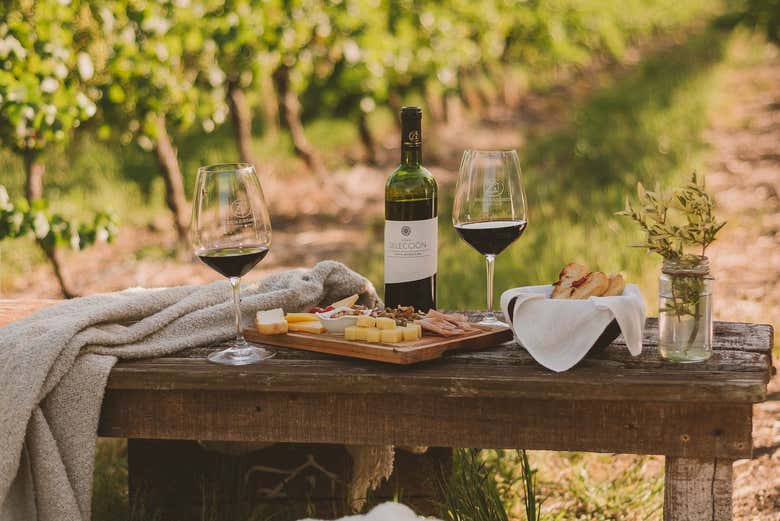 Visita a la bodega Zubizarreta, Carmelo - Civitatis.com Argentina