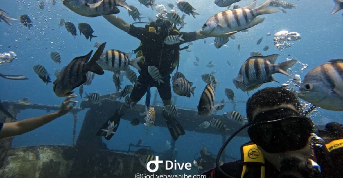 Bayahibe: Iniciación al Buceo con buceo Bayahibe |