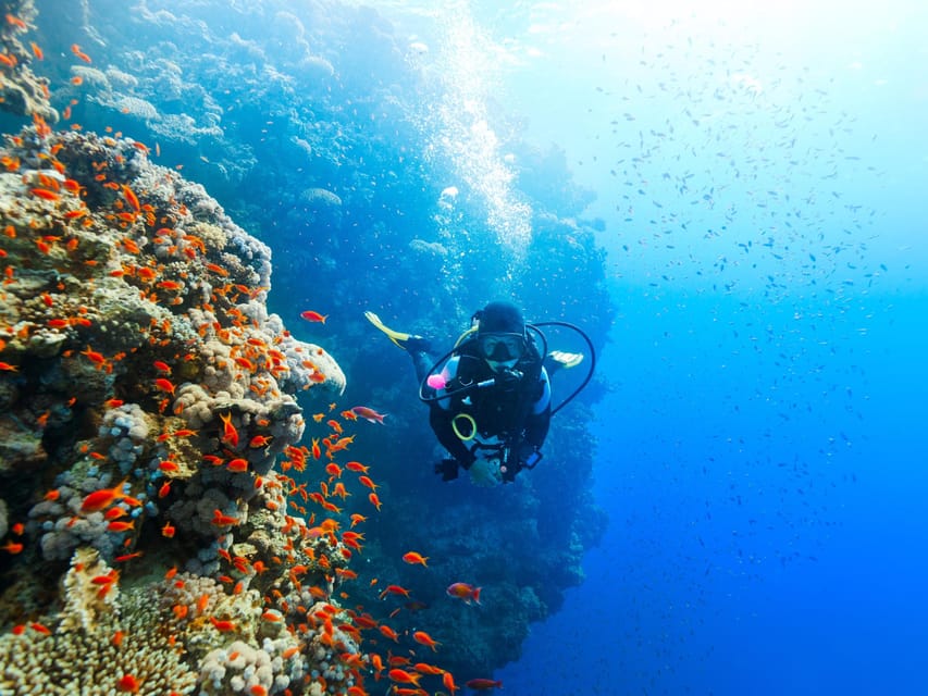 Experiencia de Buceo en Jasab |