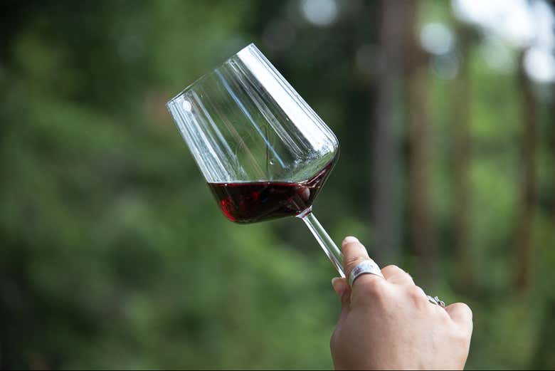 Cata de Vinos en el Bosque de Espoo - Reserva en Civitatis.com