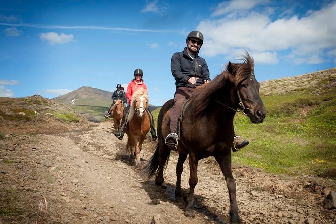 2025) Excursión al Círculo Dorado y Paseo A Caballo Vikingo desde ...