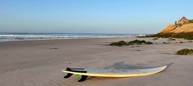 Curso de Surf en Dajla, Dakhla - Civitatis.com México