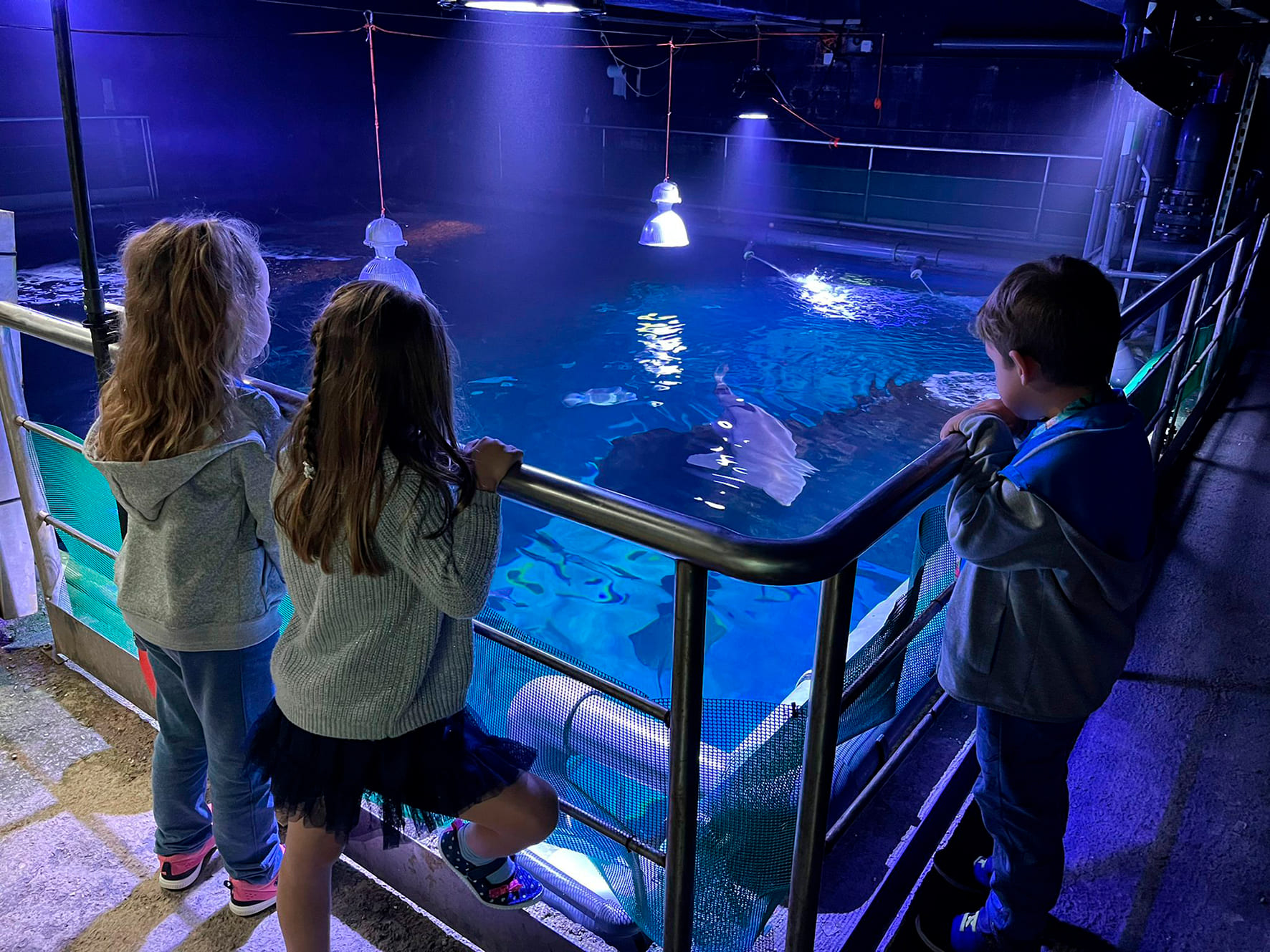 Explora El Parque - Bioparc Acuario de Gijón