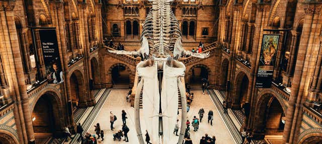 Entrada al Museo de Historia Natural Con Audioguía, Londres