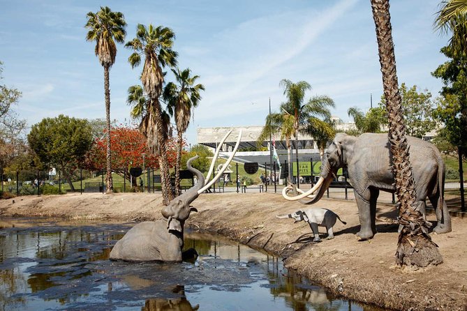 Entrada Al Rancho la Brea y Museo 2025 - Los Ángeles