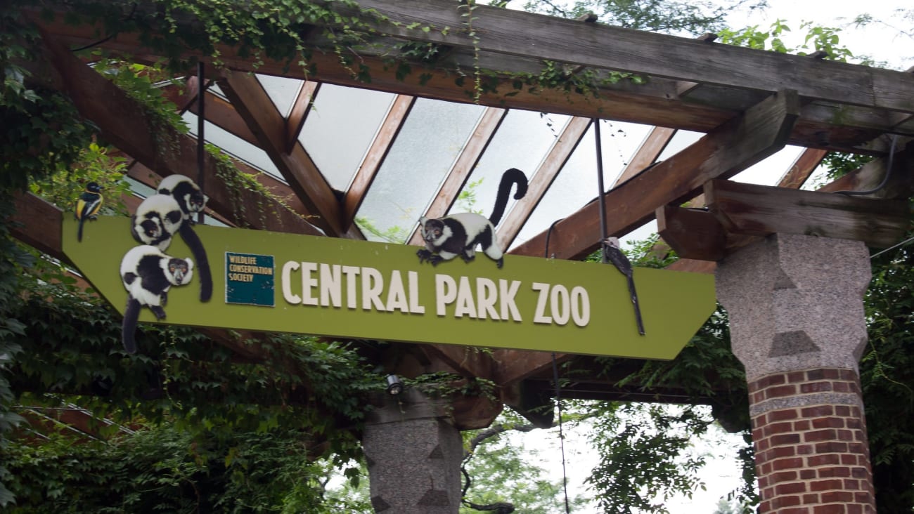 Entradas para el zoo de Central Park en Nueva York - Hellotickets