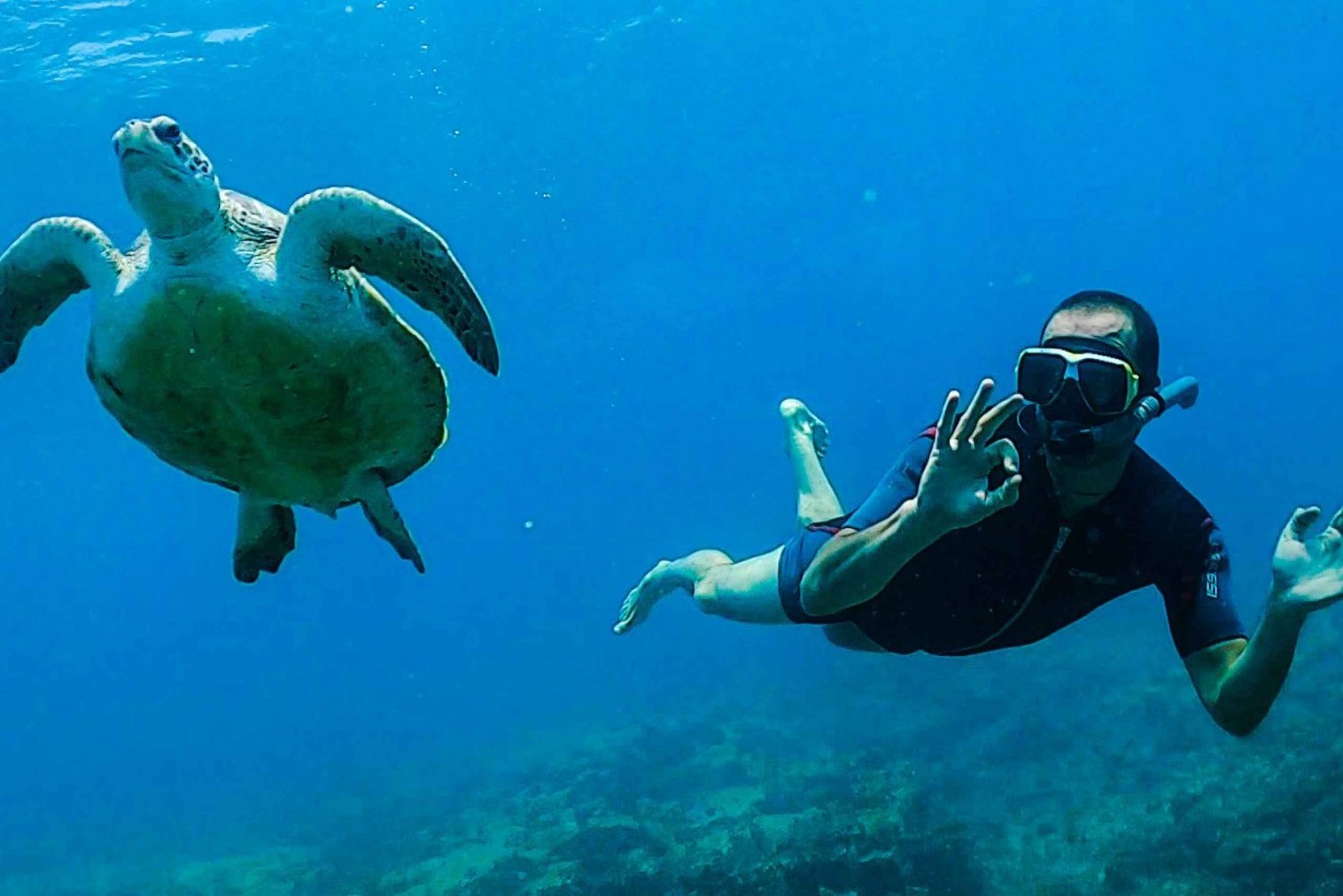 Santa María: Excursión Guiada de Snorkel en Pecio y Arrecife en ...