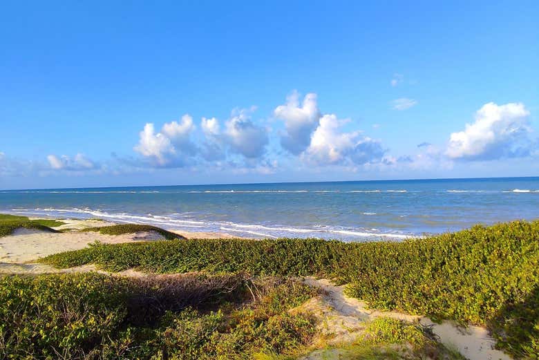 Viaje de un día a Barra de Mamanguape de João Pessoa - Civitatis.com