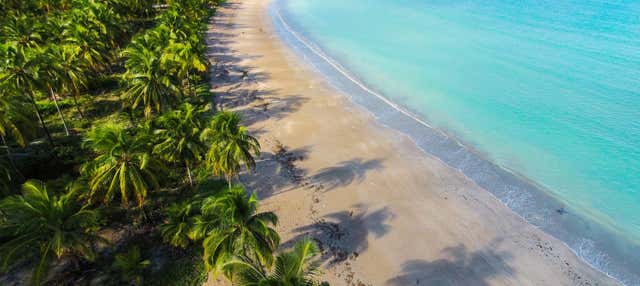 Excursión a la playa de ipioca desde maceió - civitatis