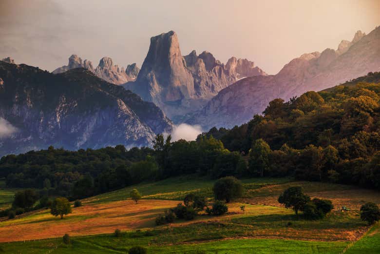 Excursión A Los Picos de Europa + Cueva del Queso de Cabrales Con ...
