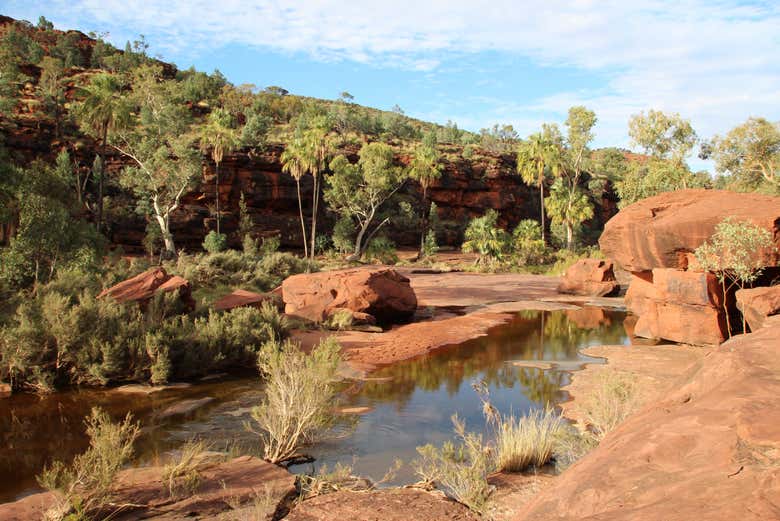 Excursión en 4x4 Al Valle de Palm Desde Alice Springs - Civitatis