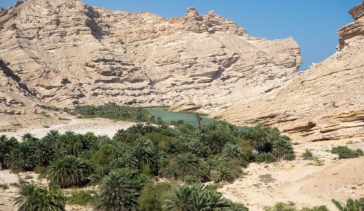 Reserve en línea Ash Shuwaymiyah - Disfrute de la excursión de la naturaleza en ...