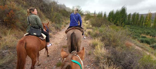 Paseo A Caballo por Lunlunta, Mendoza - Civitatis.com México