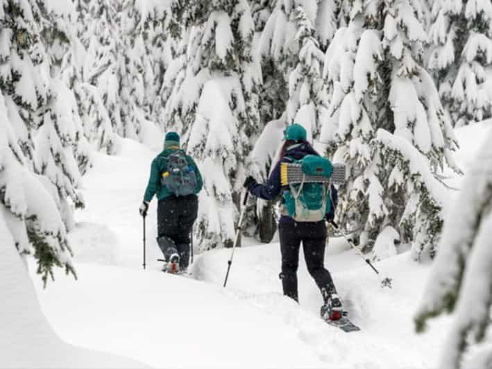 Rovaniemi: Excursión con Raquetas de Nieve por la Naturaleza y ...