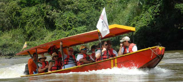 Paseo en Barco por El Río Magdalena + degustacia de Achira, Neiva ...