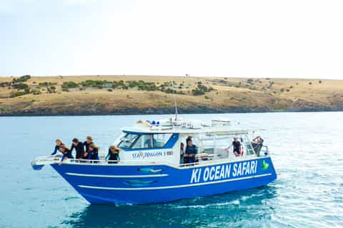 Isla Canguro Cruceros y Tours en Barco: Lo Mejor de 2025 ...