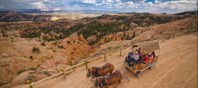 Paseo en Carruaje de Caballos por el Cañón Bryce, Bryce Canyon ...